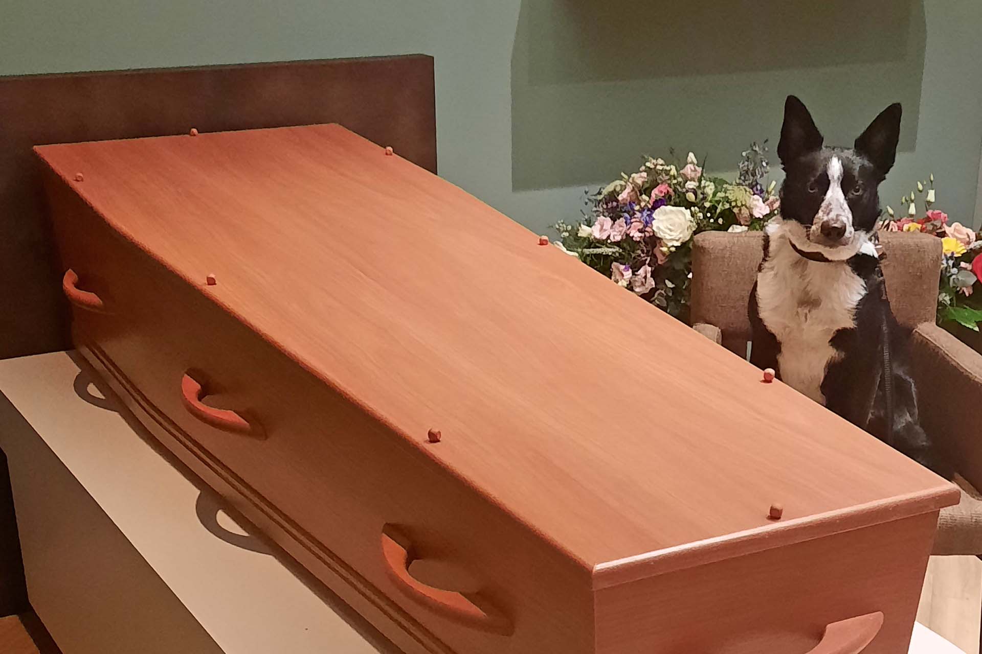 Post_Hond_Wencke-Niks